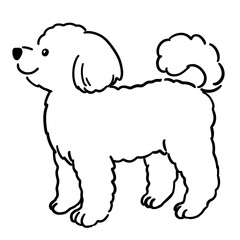 トイプードルのイラスト（線画のみ）