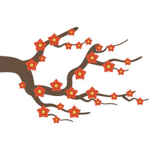 Obraz premium Chinese Blossom Twig