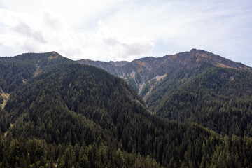 Fototapeta premium Forest in a mountain in France