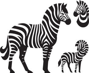 Zebra vector illustration black and white