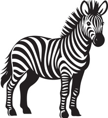 Zebra vector illustration black and white
