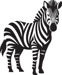 Zebra vector illustration black and white