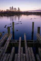 Fototapeta premium wooden pier on the lake