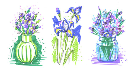 A set of irises, purple flowers, hand-drawn doodles with a felt-tip pen, an illustration on a white background. Lilac spring flowers, drawing with markers.