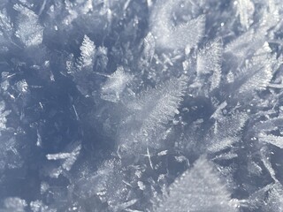 Winterlandschaft und Skifahren