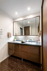 大型洗面化粧台、住宅設備