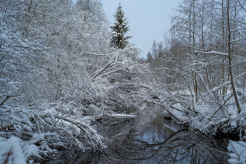 Beautiful landscape - Blue Springs of Saula (Estonian - Siniallikad) on a cloudy winter day. Trees are covered with a snow. Winter wonderland. Saula, Estonia.