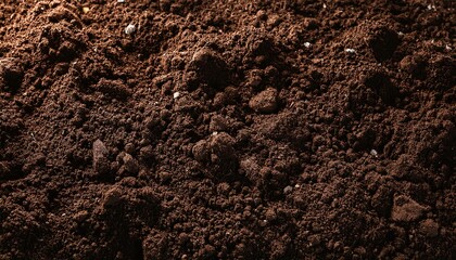 Fertil soil background texture close up