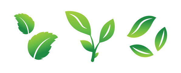 Vector icons of leaves. The theme of ecology, nutrition, cosmetology. Set of green leaves.