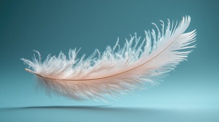Fototapeta premium Delicate White Feather Floating Against Light Blue Background