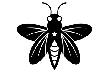 black and white butterfly