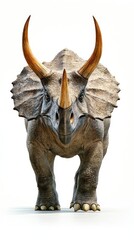 Fototapeta premium A realistic depiction of a Triceratops facing forward, showcasing its distinctive horns and features.