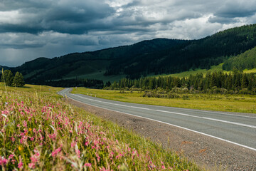 Winding mountain road in the Altai Mountains, Chuisky tract, Altai Republic, Russia