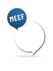 acronyme MEEF - Métiers de l’Enseignement, de l’Éducation et de la Formation