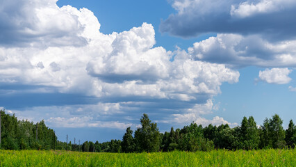 Summer landscape with blue sky in soft white clouds over green field of grass. Beautiful natural countryside. Nature rural scene with copy space for design