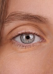 Obraz premium Vertical Screen. Gaze. Beautiful blue eye of smiling woman looking at camera. Extreme close-up of female eye, happy optimistic view. Macro eye. Beautiful people. Concept of joy, hope, inspiration.