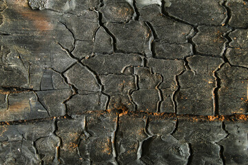 .texture and background of burnt wood. crack pattern on burnt wood