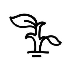 illustration of an plant