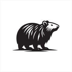 illustration of a rat