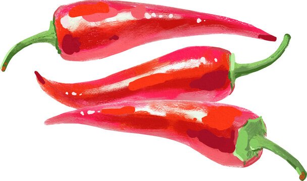 Acrylic gouache watercolor chilli vegetable illustration. Painted isolated superfood on white background
