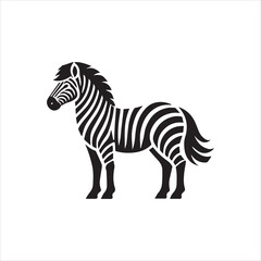 zebra vector illustration