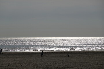 Texel Island in the Netherlands