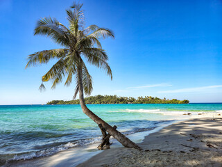 Serene beach on Koh Kood with a leaning palm tree against a clear blue sky
