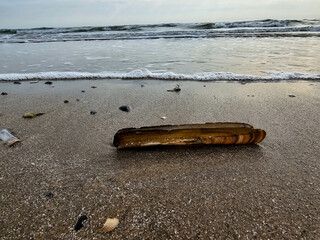 Am Hvidbjerg Strand in Dänemark