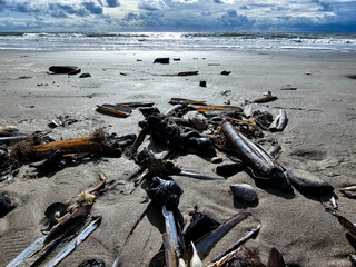 Am Hvidbjerg Strand in Dänemark