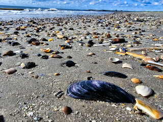 Am Hvidbjerg Strand in Dänemark