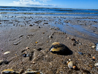 Am Hvidbjerg Strand in Dänemark