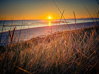 Am Hvidbjerg Strand in Dänemark
