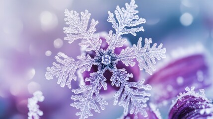 Obraz premium Close-up winter botanical study, single snowflake on purple lily, frosted petals with ice crystals, ethereal morning light, dreamy purple hues, subtle bokeh background, nature macro photography