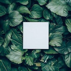 Fototapeta premium A white card in the middle of lush green leaves, spring concept