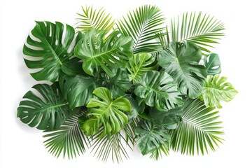 Lush tropical leaves arrangement on white background.