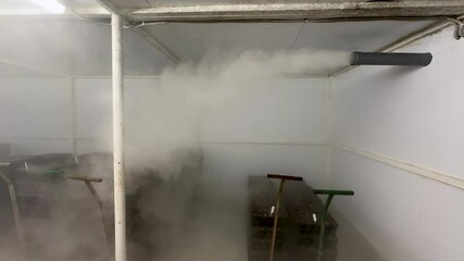 Seed germination chamber maintains trays of peat mixture and seeds for 24 hours at 100 percent humidity and 30 degrees temperature. Warm environment accelerates sprouting, mimics greenhouse conditions