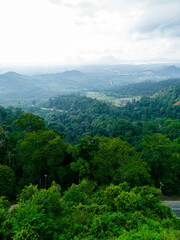 Aerial drone view of winding mountain road surrounded with greenery rainforest at Wang Kelian, Perlis, Malaysia.