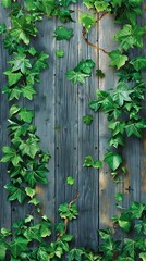 vibrant green ivy leaf on rustic wooden fence