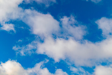 A few light cumulus clouds in a clear blue sky. summer bright image of the sky.