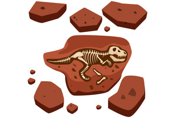 Fossil Concept Illustration Stylish and Beautiful