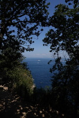 Summer on the Italian island of Capri