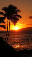 vibrant orange sunset with silhouetted palm trees