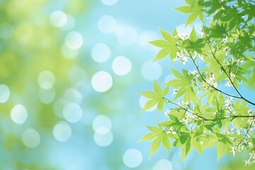 Spring background with green leaves and blurred bokeh light