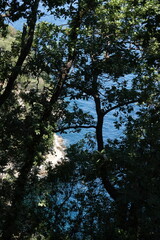 Summer on the Italian island of Capri