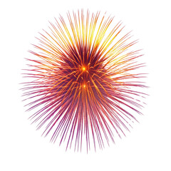 Obraz premium Colorful fireworks, multicolored bursts, vibrant explosions, shimmering trails, bright fireworks display, realistic fireworks, dazzling colors, fireworks on white background, detailed fireworks