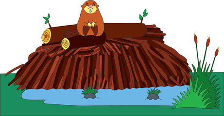 a contented beaver sits on a log on a dam, next to a puddle of water © Nata