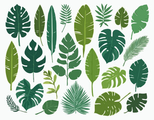 Set of different tropical and other isolated green leaves. Palm, banana leaf, hibiscus, plumeria, split leaf, philodendron. Jungle collection for your design.Vector illustration.