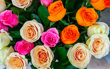 bouquet of colorful garden roses. as a background for the design