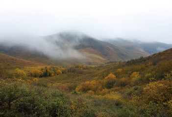 A foggy mountain landscape with rolling hills covered in autumn foliage, with a mix of green, yellow, and orange hues