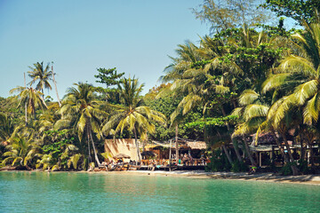 koh kood beach palm trees landscape thailand